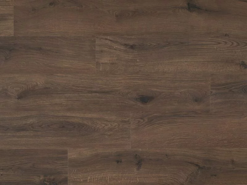 Gyant Warm Brown