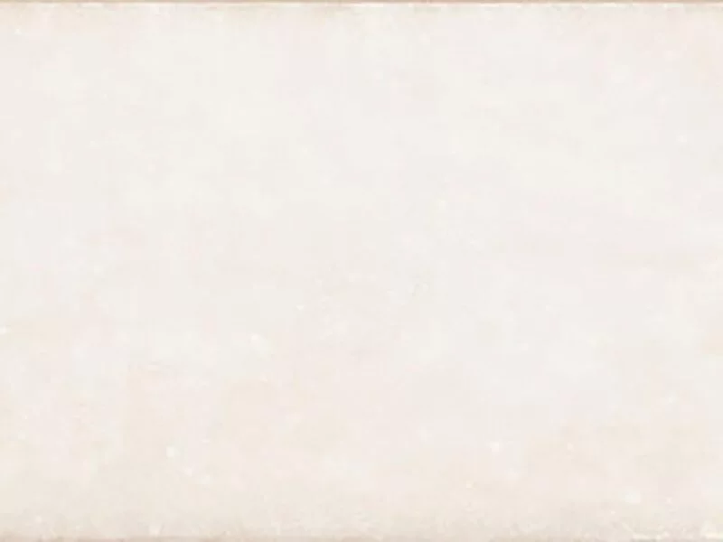 Ivory Brillo