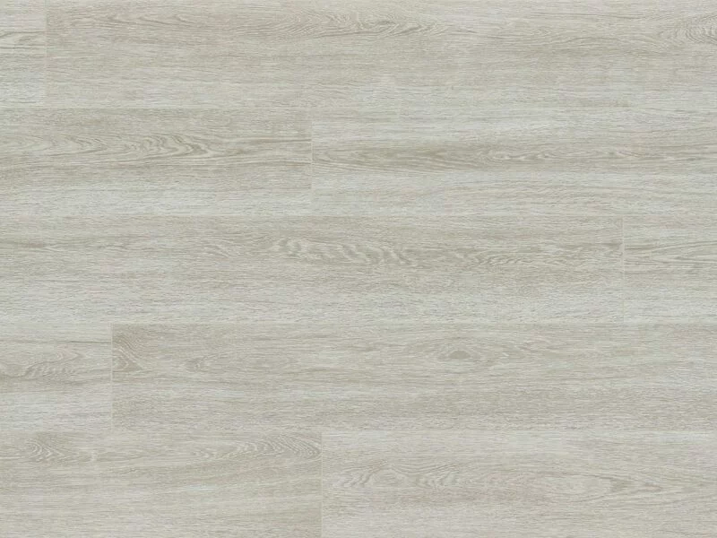 Verdi Oak