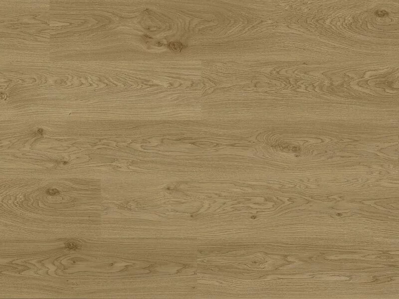 Daisy Oak
