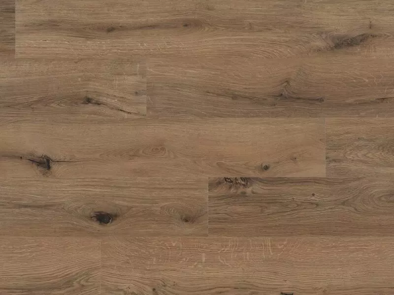 Gyant Brown Natural