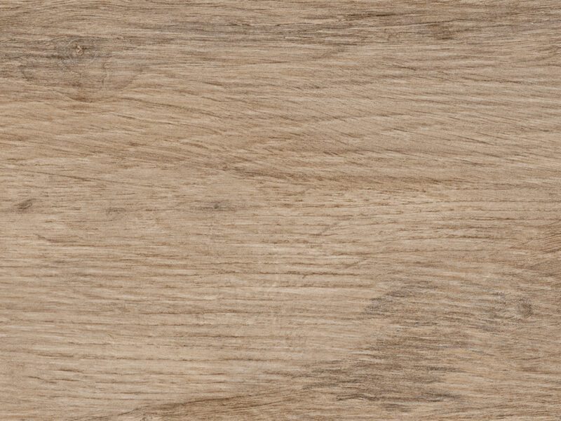 Elm