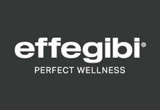 logo-effegibi