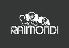logo-raimondi